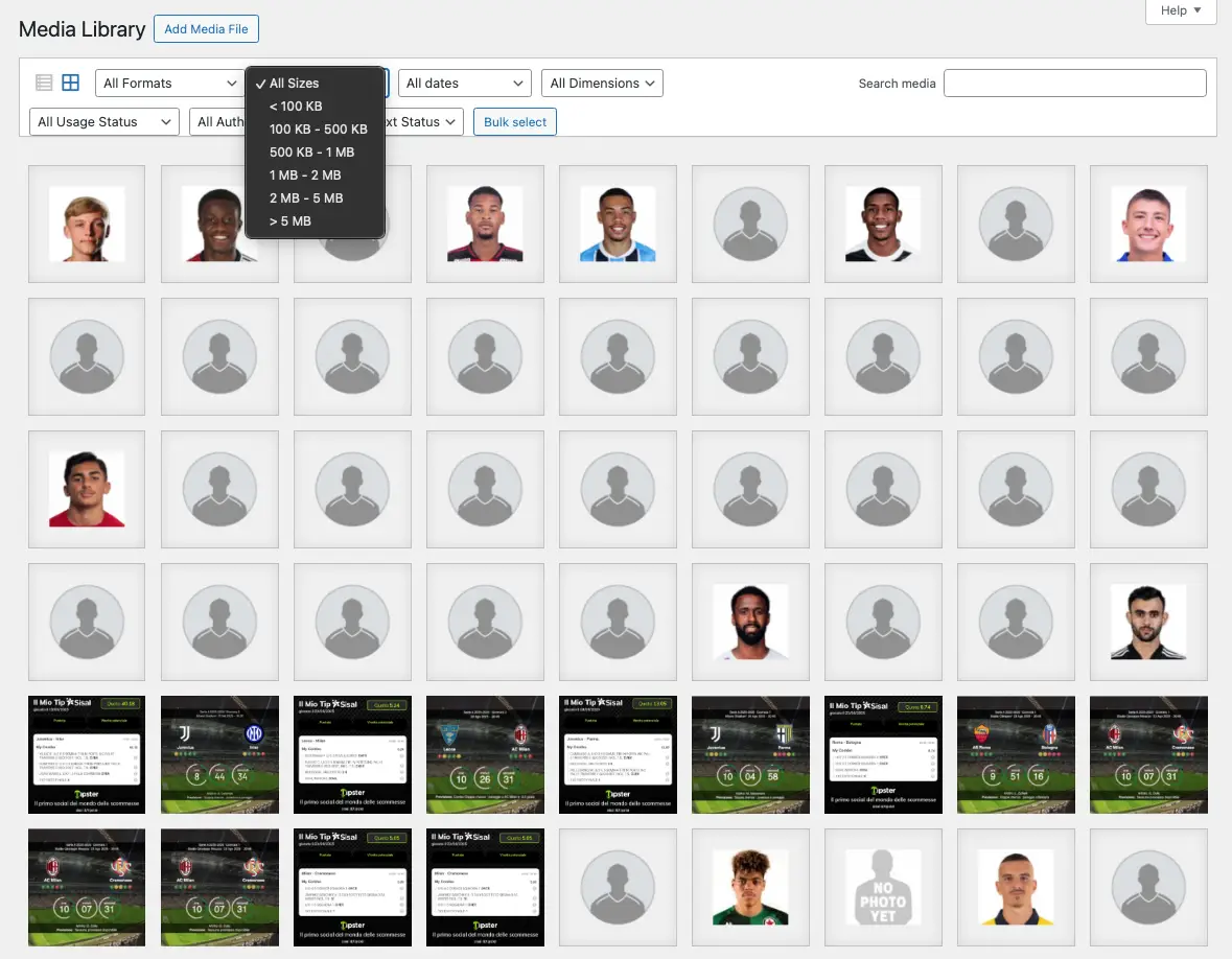 Advanced Media Library Filters Preview